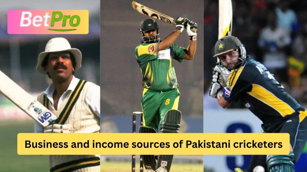 Business and income sources of Pakistani cricketers